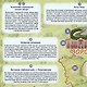 Воронежская область. МЕМО Настольная игра. 50 карточек - фото 4