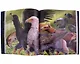 Комплект Harry Potter : The illustrated collection (3 книги в футляре) - фото 4