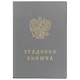 Бланк «Трудовая книжка РФ», Гознак - фото 1