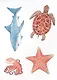 Многоразовые наклейки. Морские животные - фото 4
