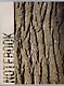 Тетрадь в клетку Listoff, Wood Texture, А4, 80 листов - фото 1