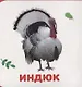 Домашние животные - фото 3