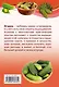 Огурцы. :Что сделать, чтобы всегда быть с урожаем. - фото 2