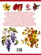 Большая энциклопедия. Вышивка лентами - фото 2