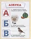 Азбука. Букварь. Счет - фото 3