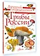 Грибы России. Определитель - фото 3