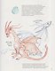Каменные драконы. Книга о драконах, камнях и минералах - фото 4
