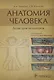 Анатомия человека: атлас для педиатров - фото 1