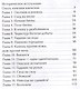 Полет сокола: похищенная - фото 2