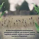 Детская книга - фото 6