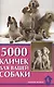 5000 кличек для вашей собаки - фото 1