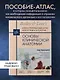 Основы клинической анатомии. Иллюстрированный атлас нозологий и патологий - фото 4