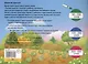 Маленькие крольчата и Братец Лис / Тhe Little Rabbits and Brother Fox. 1 уровень - фото 2