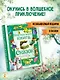 Изумрудная книга сказок. Илл. Тони Вульфа - фото 4