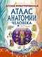 Детский иллюстрированный атлас анатомии человека - фото 1
