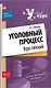 Уголовный процесс. Курс лекций - фото 1