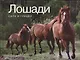 Лошади. Сила и грация - фото 2
