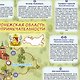 Воронежская область. МЕМО Настольная игра. 50 карточек - фото 3