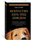 Искусство бега под дождем - фото 2