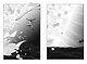 Страна самоцветов. Том 6 (Houseki no Kuni / Land of the Lustrous). Манга - фото 12