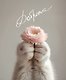 Тетрадь общая «Cat & Flowers», 96 листов в клетку, А5, в ассортименте - Listoff - фото 3