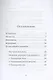 Оружие света. Введение в медитацию Ати-йоги - фото 2