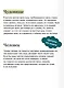 Франкенштейн, или Современный Прометей. Коллекция Аны Награни - фото 6
