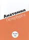 Анатомия Петербурга. Как устоен город. Занимательная механика - фото 1