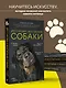 Дрессировка и воспитание собаки - фото 7