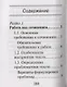 Русский язык. Подготовка к ЕГЭ. Литературные аргументы к сочинению - фото 2
