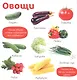 Мои первые фотокниги. Изучаем мир - фото 3