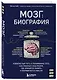 Мозг: биография. Извилистый путь к пониманию того, как работает наш разум, где хранится память и формируются мысли - фото 3