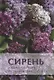 Сирень. Уход, обрезка, размножение, сорта - фото 1