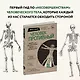 Человек Противный. Зачем нашему безупречному телу столько несовершенств - фото 4