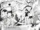 Волейбол! Книга 5. Желания. Восход луны - фото 9