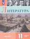Литература 11 кл. Уч. пос. Углуб. ур. Ч.1 (м) (3 изд.) Коровин - фото 1