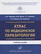 Атлас по медицинской паразитологии. Учебное пособие - фото 1
