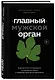 «Главный» мужской орган. Медицинские исследования, исторические факты и забавные культурные феномены - фото 3