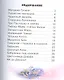 Английские чудо-песенки. 3+.ФГОС ДО - фото 2