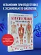 Анатомия человека. Популярный атлас. Самые подробные анатомические изображения - фото 4
