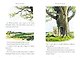 Winnie the Pooh Classic edition - фото 4