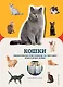 Кошки - фото 1