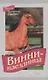 Винни-наездница. Часть 8. Буланый бандит - фото 1