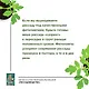 Рассадоводство. Первые шаги к своему идеальному саду - фото 4