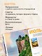 Календарь путешествий. Самые интересные места для отдыха на каждый месяц года - фото 6