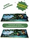 Приключения маленького ёжика КиКи - фото 4