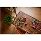 LEGO Botanical Collection: Суккуленты, 771 деталь (10309) - фото 13