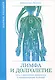 Лимфа и долголетие. Путь к укреплению иммунитета и предупреждению болезней - фото 1