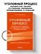 Уголовный процесс. Полный курс лекций со схемами, таблицами, определениями. 2-е издание - фото 4