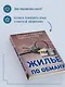 Жилье по обману - фото 8